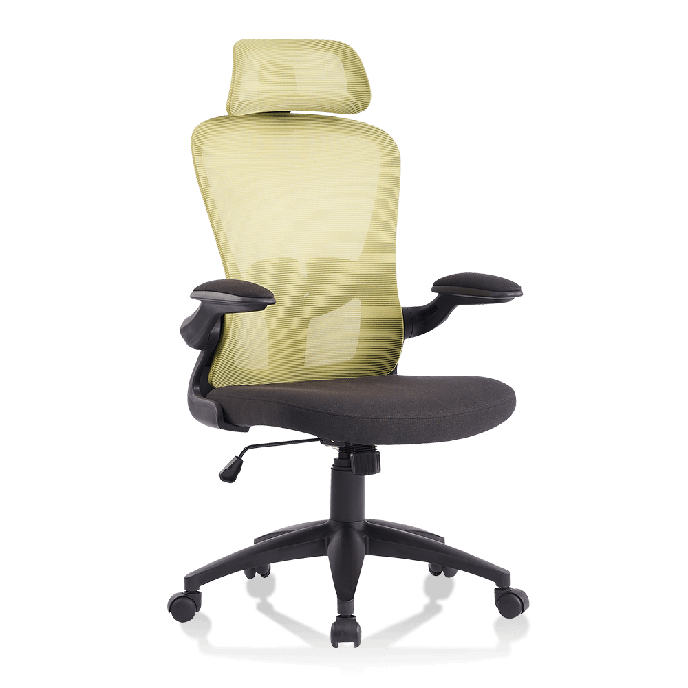 Ergonomic Office Chair High Back Mesh Back Adjustable Headrest Flip-up Padded Armrest Swivel Desk Chair